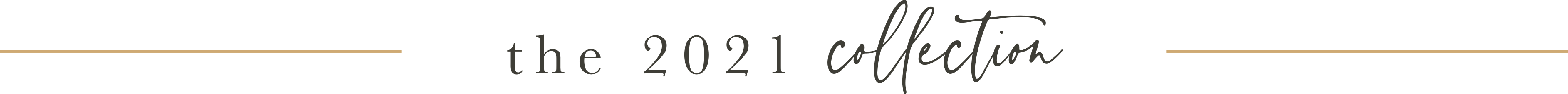 The 2021 collection headline