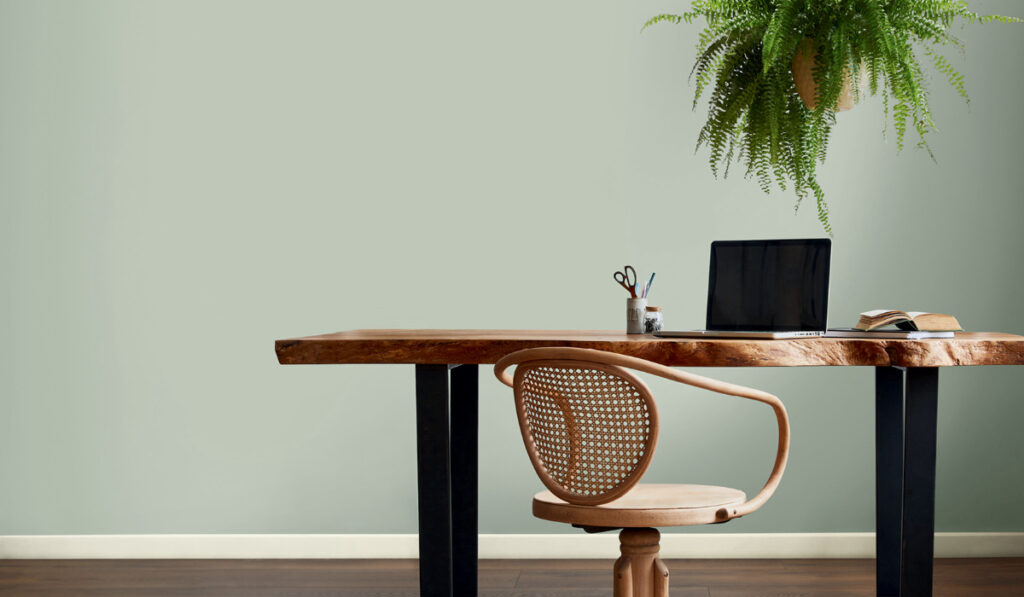 general-color-background